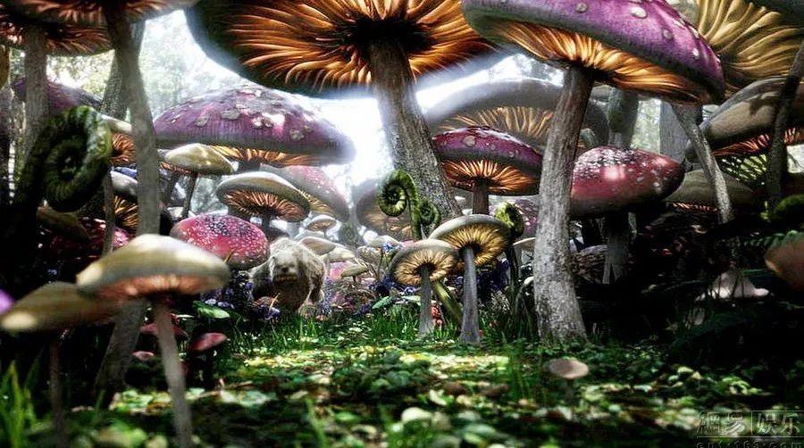 解惑小秘书-拖延症怎么破?蜗牛问答平台